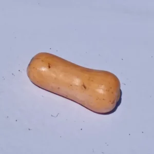 Zapallo Anco