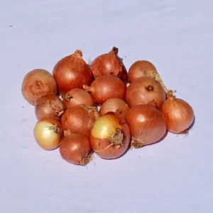 Cebolla Blanca X3