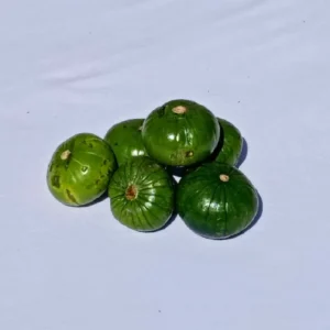 Zapallito